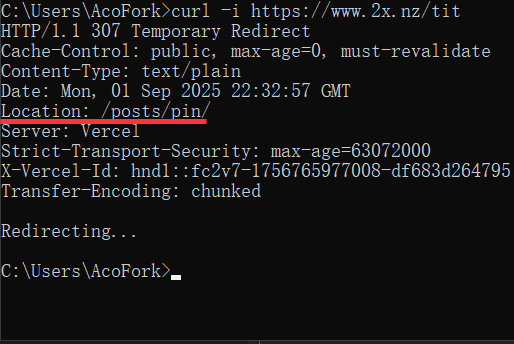 配置 Vercel.json 以支持服务器级别的重定向