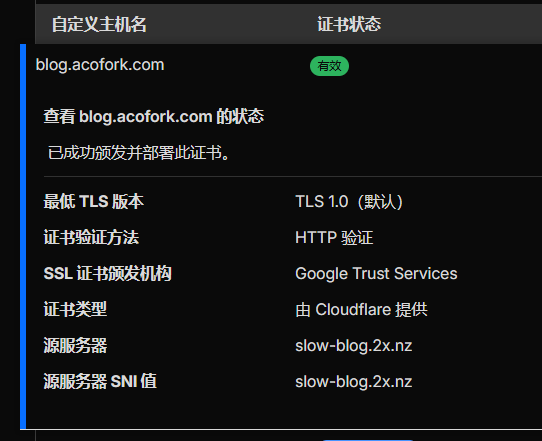 网站分流怎么做？全球秒开！有点坐牢，但是好玩！